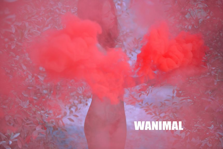 WANIMALٷƷ 10VIP ͼ[124P] ʥ 5ҳ